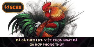 Đá gà theo lịch Việt: Chọn ngày đá gà hợp phong thủy
