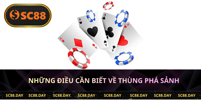 Những điều cần biết về thùng phá sảnh