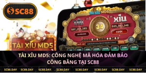 Tài Xỉu MD5 – Giải Pháp Cá Cược Công Bằng